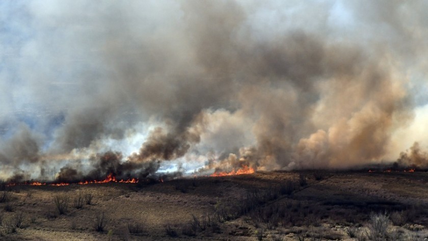 Incendios en el Delta del Paraná: hay focos en Rosario-Victoria, San Pedro y Zárate