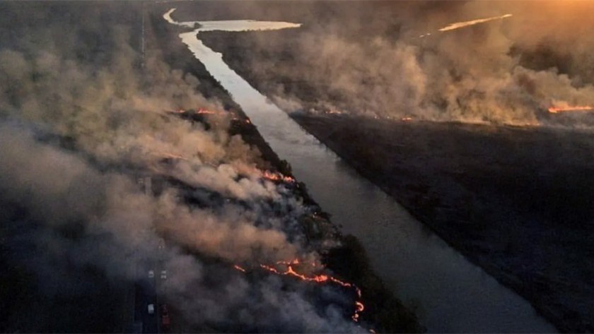 Detuvieron a tres personas acusadas de provocar incendios en el Delta